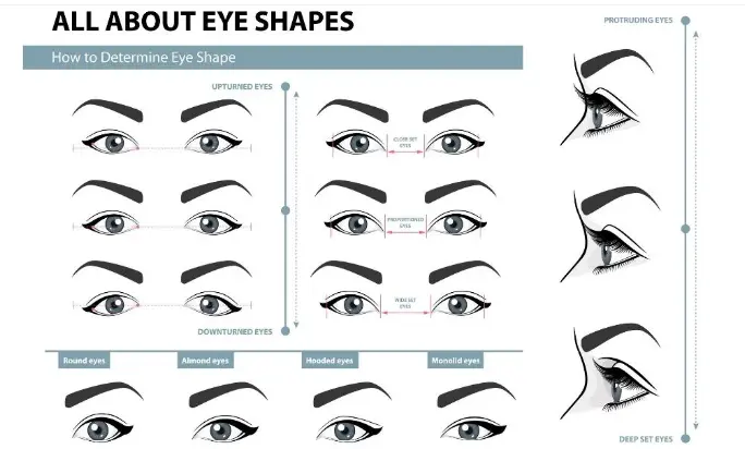 Variety of eyelash extension options - displaying different styles to suit every preference, from natural to glamorous enhancements.